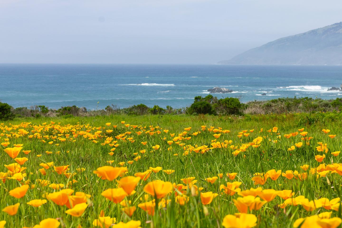 CARB adopts
implementing rules
for SB 253 and SB 261